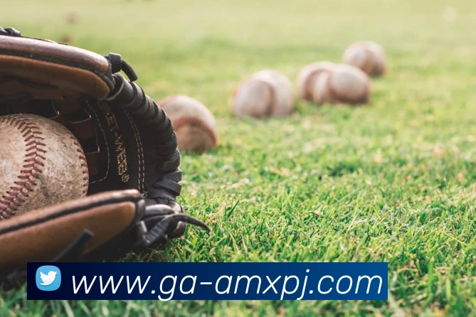 澳门新葡京娱乐平台生态图