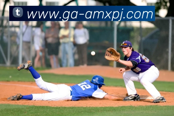 澳门新葡京娱乐全站App